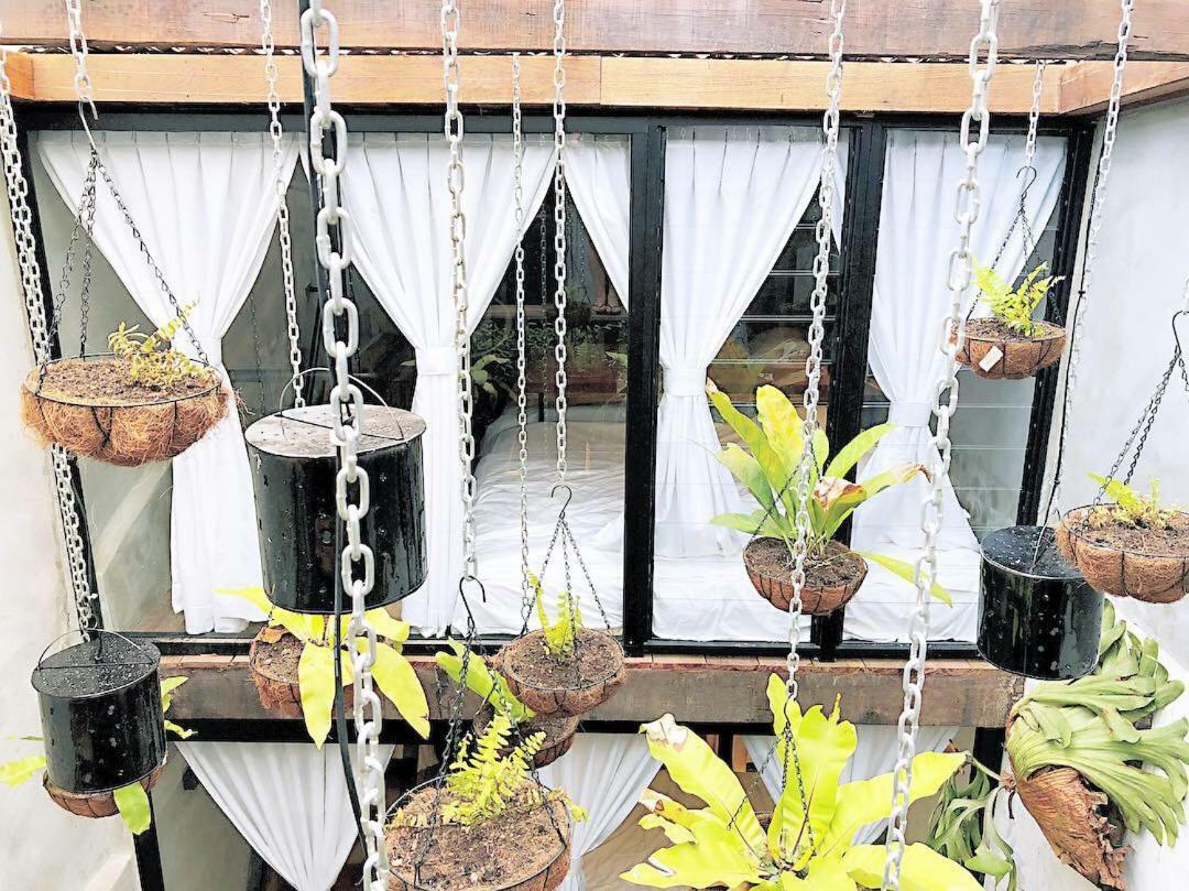 Rimba Jonker, Melaka Heritage Residance Bagian luar foto