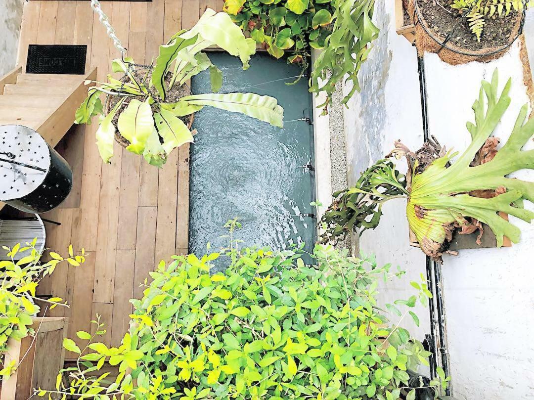 Rimba Jonker, Melaka Heritage Residance Bagian luar foto